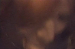 Tasty Cocks.