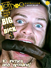 I Got Fucked By a Big Black Dick #3 DVD Cover