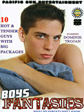 Boys Fantasies DVD Cover